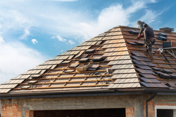 Best Roof Moss and Algae Removal  in Hasbrouck Heights, NJ